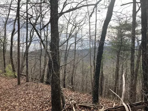 1340 Leggett Rd, Sale Creek, TN 37373