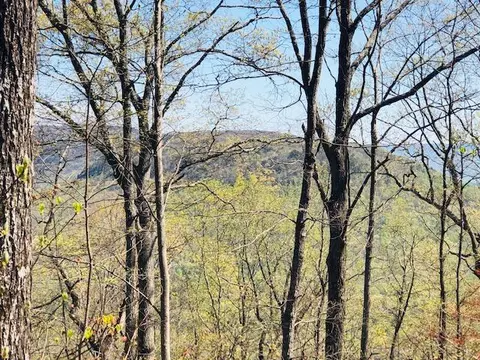 0 Vineyard Point Rd #5, Sequatchie, TN 37374 photo 5
