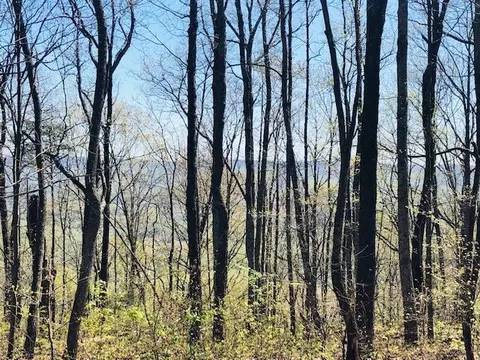 0 Vineyard Point Rd #5, Sequatchie, TN 37374 photo 2