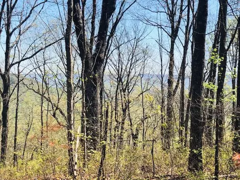0 Vineyard Point Rd #5, Sequatchie, TN 37374 photo 4