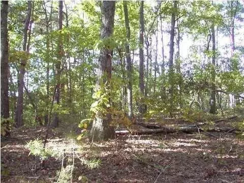 2108 River Harbor Ln, Hixson, TN 37343