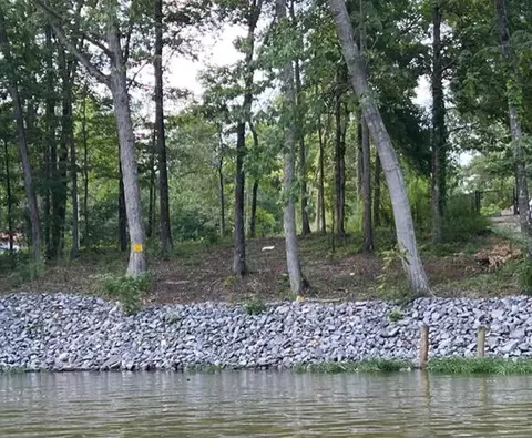 lot44 County Rd 513, Centre, AL 35960