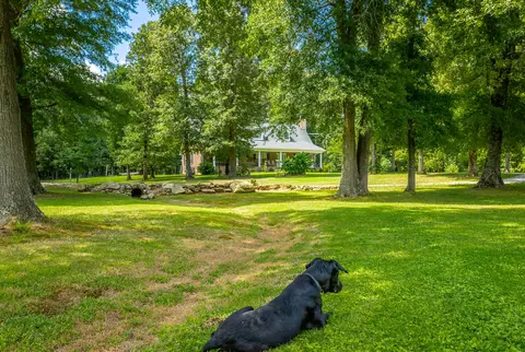 469 Co Rd 732, Bryant, AL 35958