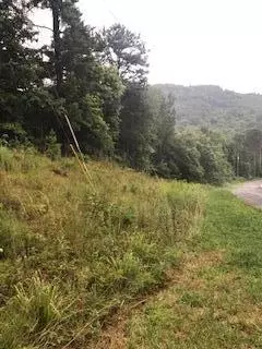 0 Belaire Dr #17, Copperhill, TN 37317
