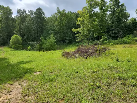 lot13 Beaver Hill Rd, Pikeville, TN 37367