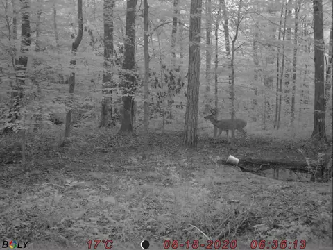 1948 Coppinger Cove Rd, Sequatchie, TN 37374 photo 27