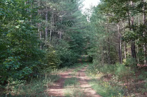 00 Lick Ck Rd, Big Sandy, TN 38221