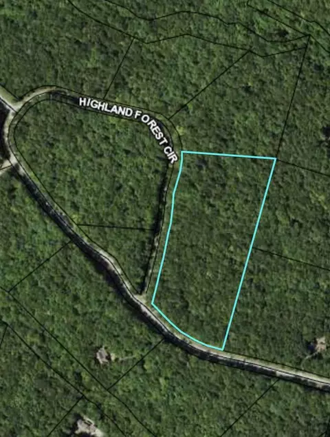 6 Highland Forest Cir #6, Cloudland, GA 30731