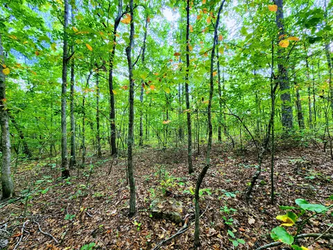 75 Hunters Trail Way Apt 75 76 Way #75, 76, Altamont, TN 37301