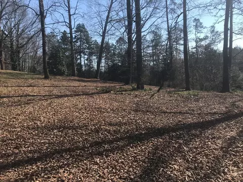 Tract 3 NW Old Lower River Road, Charleston, TN 37310