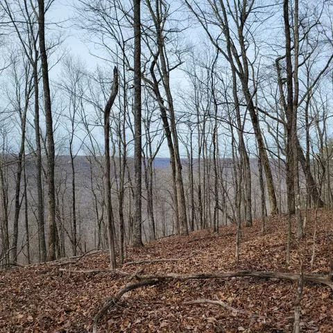 0 Ravens Den Rd #30, Sewanee, TN 37375