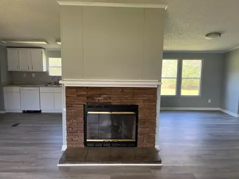 471 E Teems Rd, Ringgold, GA 30736 photo 8