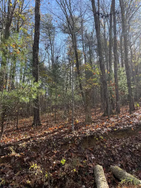 11 12 Emery Creek Rd, Chatsworth, GA 30705