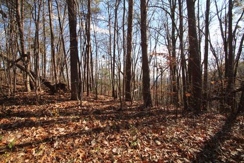 Lot 45 Clearview Dr, Dayton, TN 37321