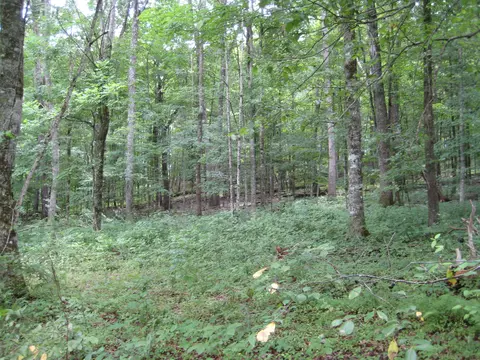 00 Paint Rock Trl, Philadelphia, TN 37846