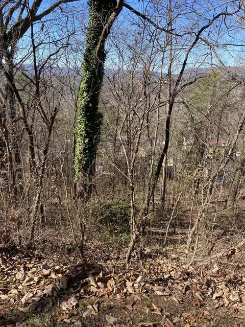 0 Tiktin Dr #117, Chattanooga, TN 37415