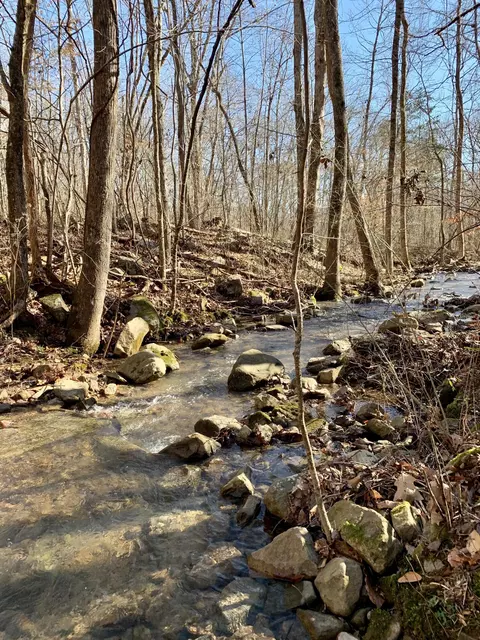 0 Hamilton St, Dunlap, TN 37327