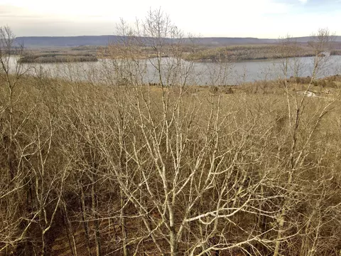 24 Scenic Dr #24, South Pittsburg, TN 37380