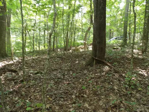 0 Cherokee Ridge Rd #19, Pikeville, TN 37367