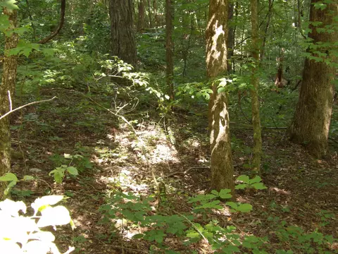 80 Cherokee Ridge Rd #80, Pikeville, TN 37367
