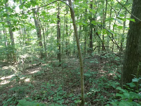 33 Stone Ridge Rd #33, Pikeville, TN 37367