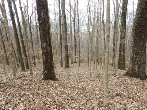 76 Fox Ridge Rd #76, Pikeville, TN 37367
