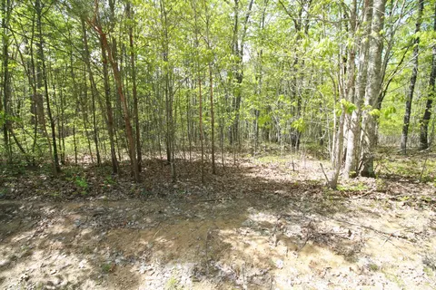 lot403 Wandering Way, Dunlap, TN 37327