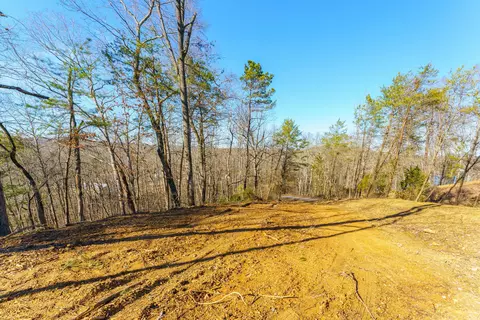 0 Nancy Point Rd, Spring City, TN 37381