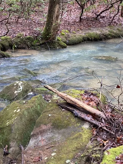 Lot 9 Thomas Springs Road #9, Crossville, TN 38572