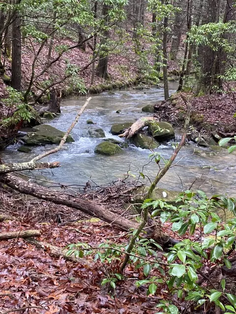 Lot 6 Thomas Springs Road #6, Crossville, TN 38572