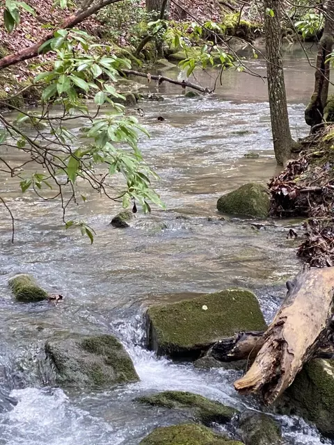 Lot 10 Thomas Springs Road #10, Crossville, TN 38572