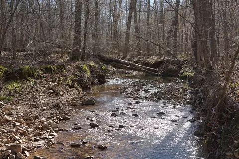 00 Danville Rd, Big Sandy, TN 38221