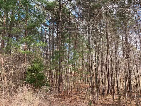 63 Chickadee Dr, Ringgold, GA 30736
