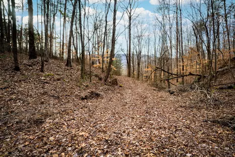 304 Gilley Ln #TRACT 1, Chickamauga, GA 30707