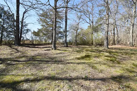 7312 Runyan Rd, Georgetown, TN 37336 photo 25