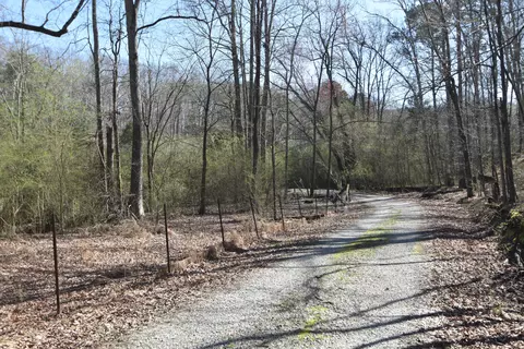 7312 Runyan Rd, Georgetown, TN 37336 photo 19