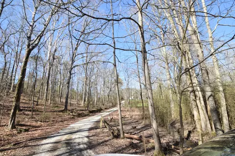 7312 Runyan Rd, Georgetown, TN 37336 photo 12