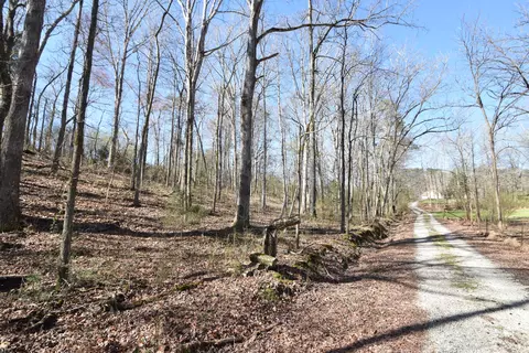 7312 Runyan Rd, Georgetown, TN 37336 photo 14