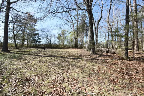 7312 Runyan Rd, Georgetown, TN 37336 photo 5