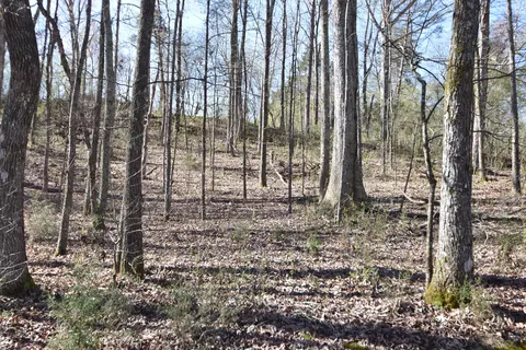 7312 Runyan Rd, Georgetown, TN 37336 photo 18