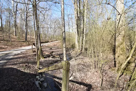 7312 Runyan Rd, Georgetown, TN 37336 photo 10