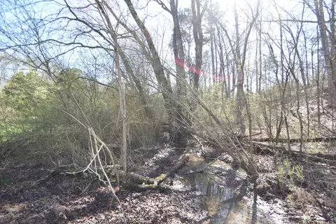 7312 Runyan Rd, Georgetown, TN 37336 photo 11