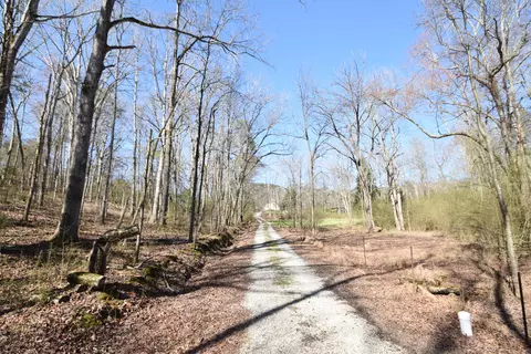 7312 Runyan Rd, Georgetown, TN 37336 photo 13