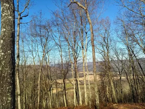 425 Stoneclift Dr, South Pittsburg, TN 37380