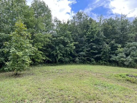 Lot 4 Poplar Rd, Pikeville, TN 37367