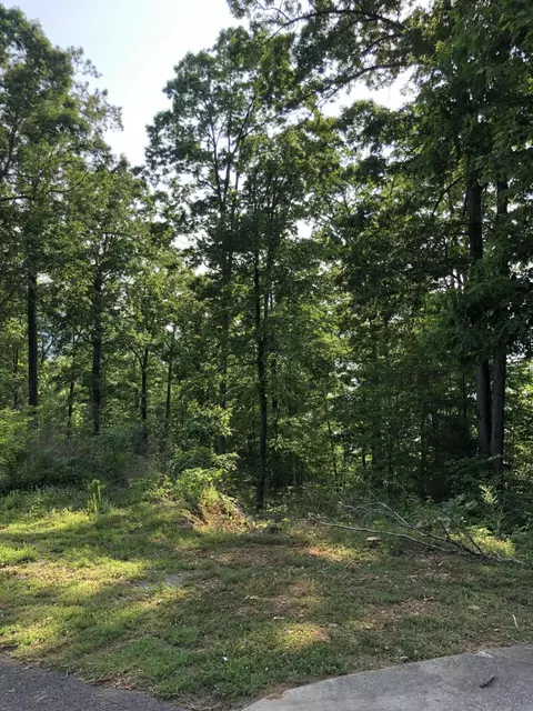 269 Myers Ave, Guild, TN 37340