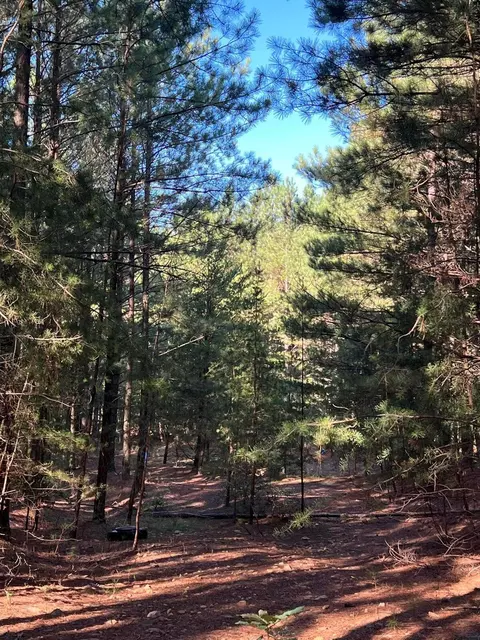00 Horseshoe Rd, Signal Mountain, TN 37377