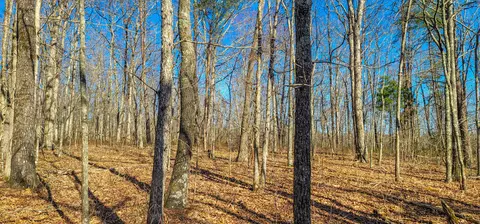 615 Shadow Rock Dr, Monteagle, TN 37356