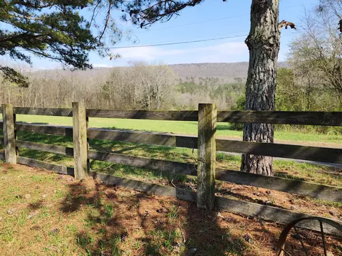 1565 County Rd 239, Valley Head, AL 35989