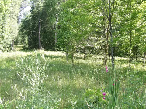 00 Rosco Keener Rd, Pikeville, TN 37367